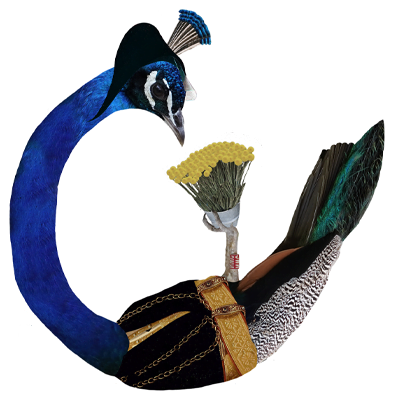 bird sticker