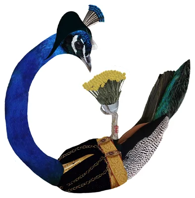 Gifts And Decor Collage Malage   Bird Sticker 01 .webp